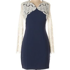 Esley Navy and White Laced Dress